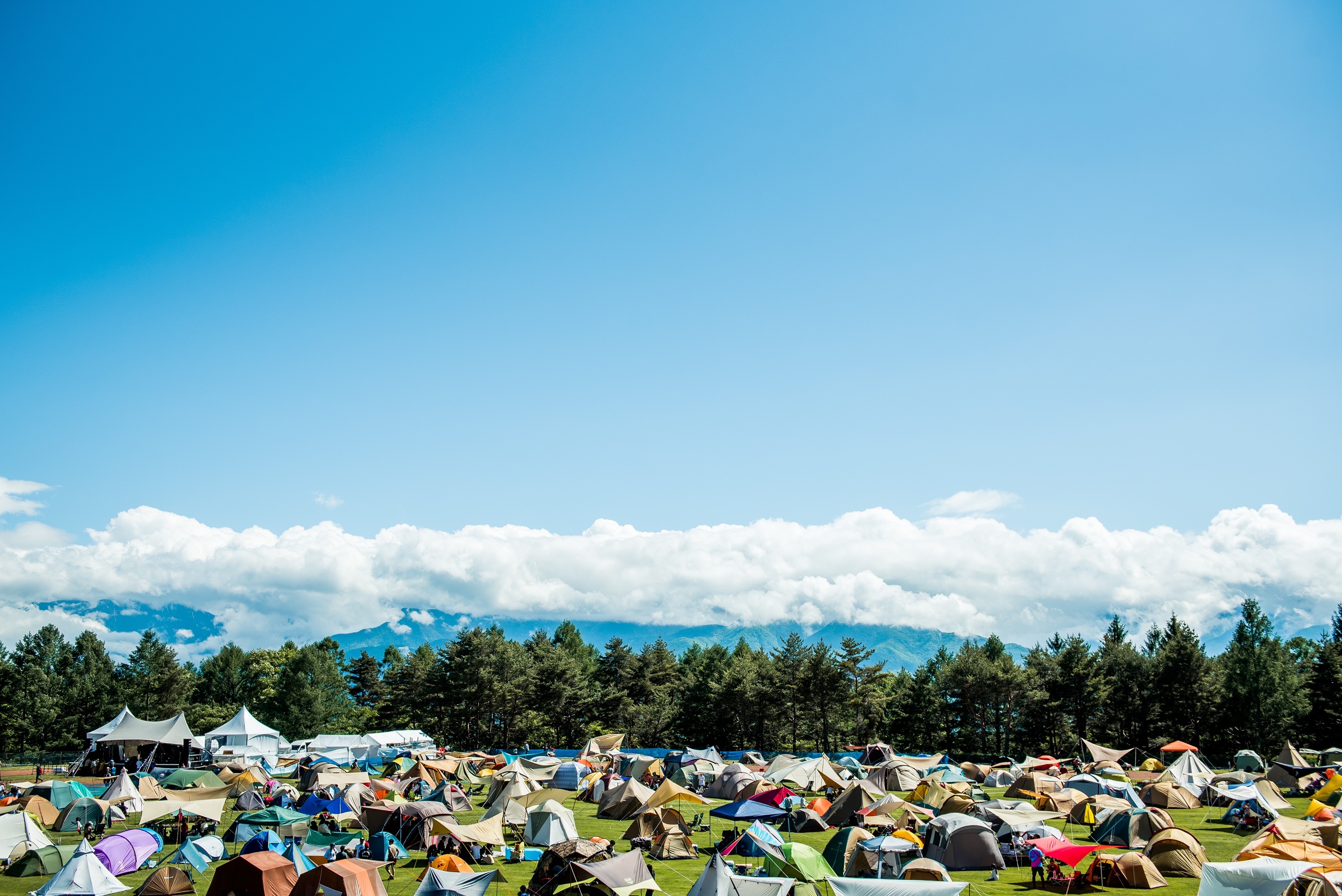 THE CAMP BOOK