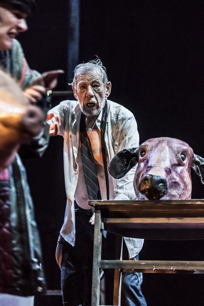 NTL 2018 King Lear - Ian McKellen (King Lear) at Duke of Yorks Theatre. Photo by Johan Persson