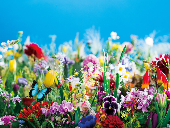 earthly flowers, heavenly colors (2017) (C)mika ninagawa, Courtesy of Tomio Koyama Gallery