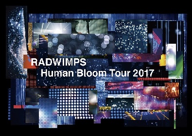 RADWIMPS 映像作品まとめ売り RADWIMPS | Zettaizetsumei – Light in the Attic