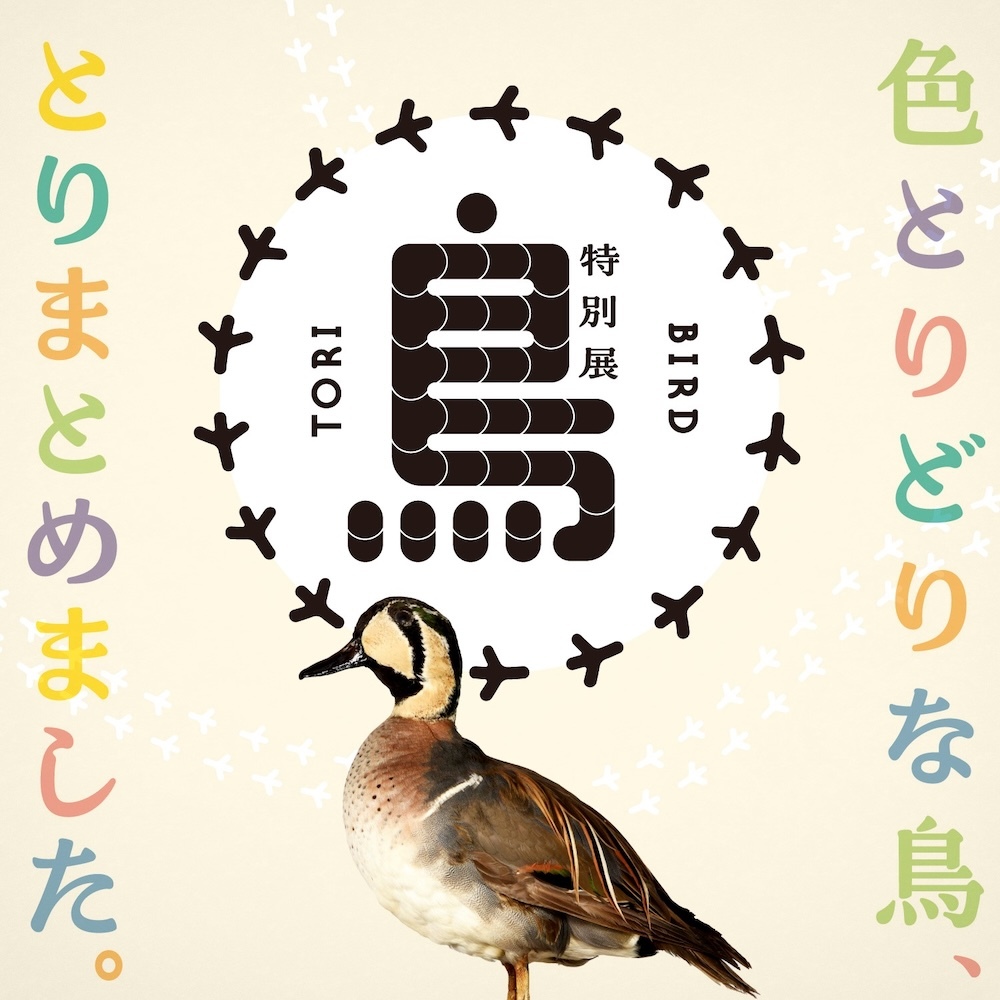 特別展『鳥 ～ゲノム解析が解き明かす新しい鳥類の系統～』