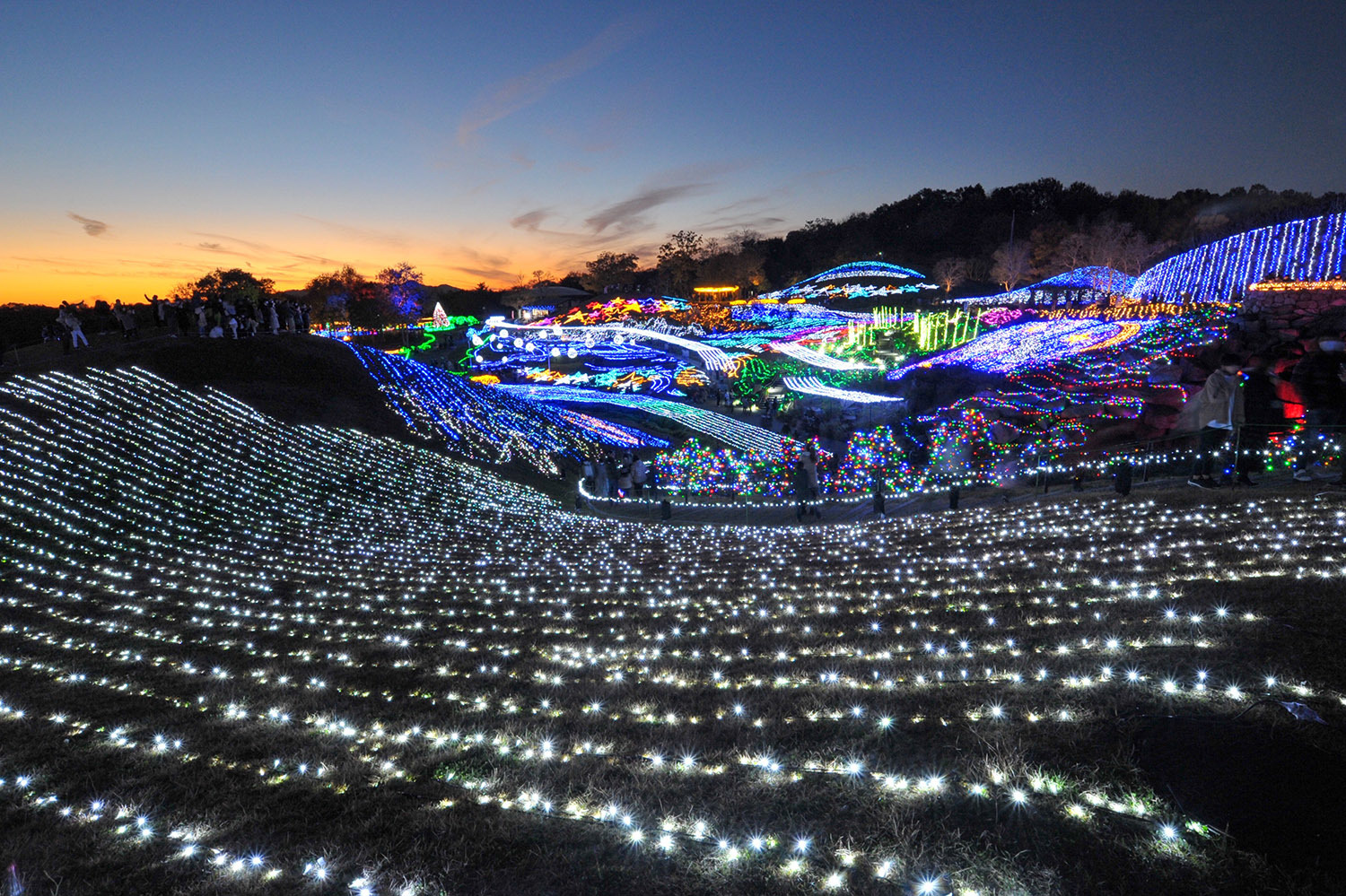 写真：国営讃岐まんのう公園提供