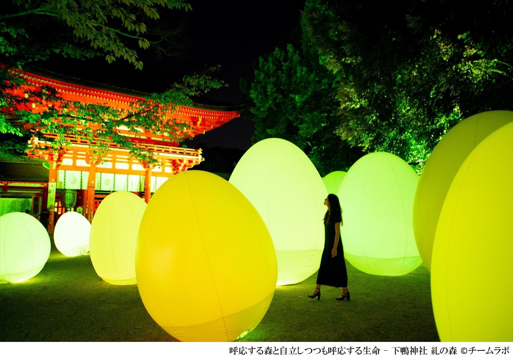 古都京都の世界遺産が インタラクティブなアート空間に 下鴨神社 糺の森の光の祭 Art By Teamlab Tokio インカラミ Spice エンタメ特化型情報メディア スパイス