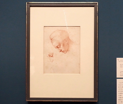 ミケランジェロ・ブオナローティ《〈レダと白鳥〉の頭部のための習作》 1530年頃 カーサ・ブオナローティ