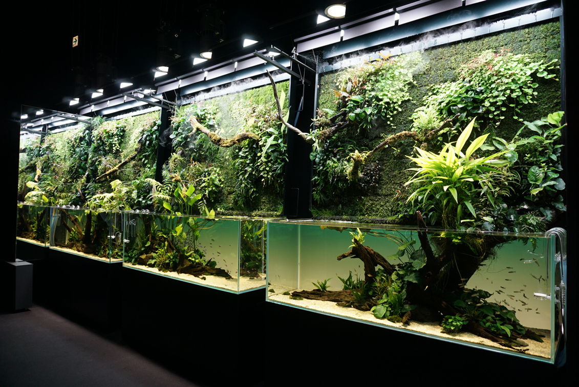 写真と水槽で体感する、大自然の美しさ 『天野尚 NATURE AQUARIUM展 