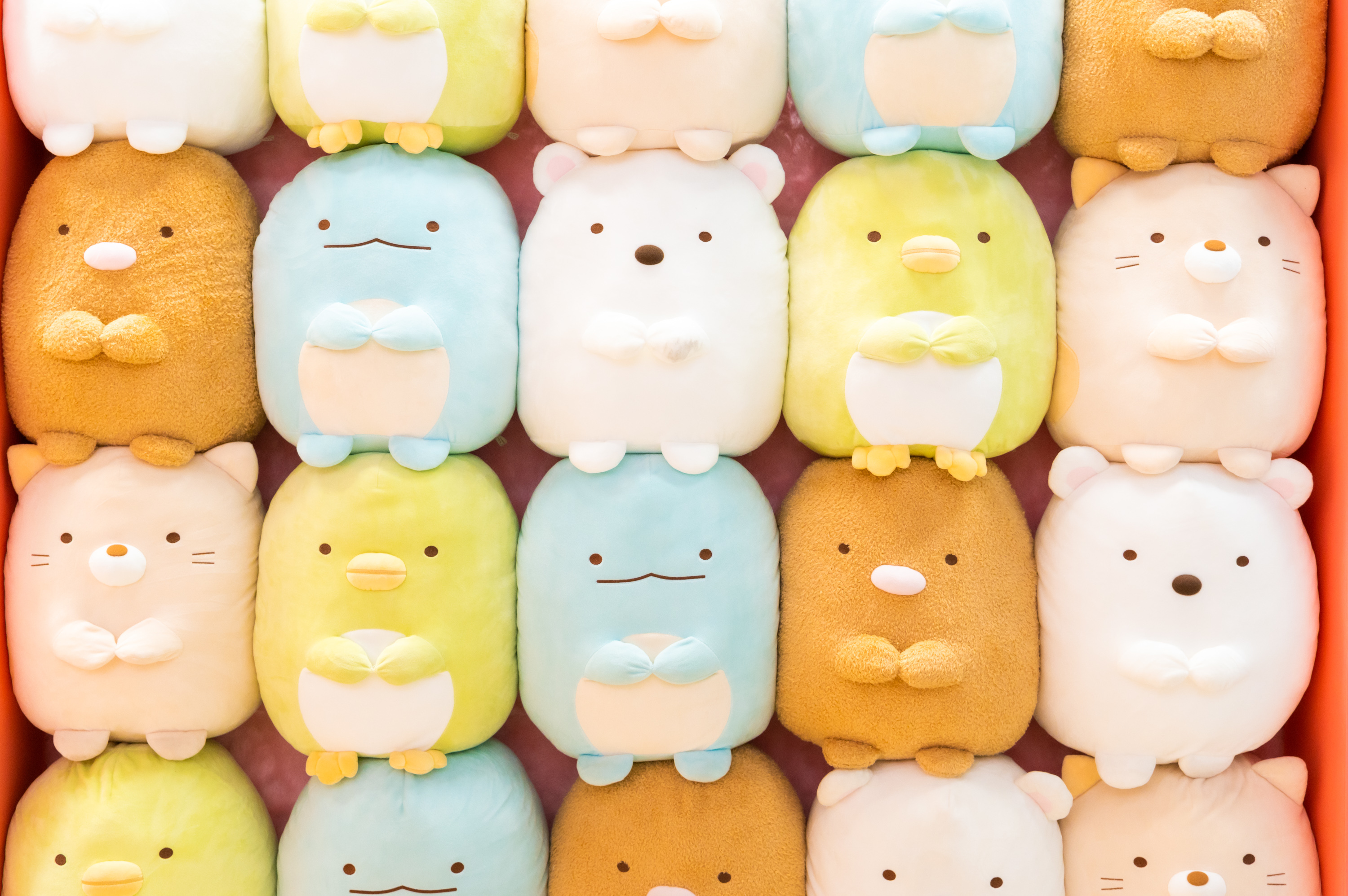 ぎゅうぎゅう詰めのすみっコたちから、何だか目が離せない……