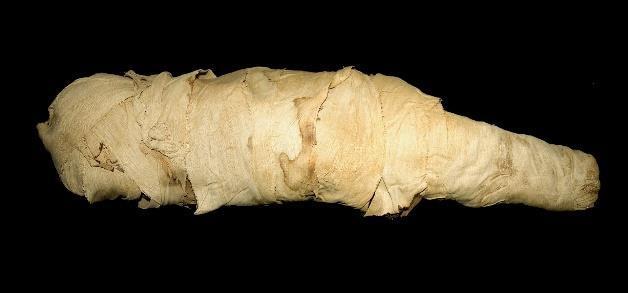 《中王国時代の子どものミイラ》 レーマー・ペリツェウス博物館所蔵 中王国時代、第11王朝-第12王朝 紀元前2010年-前1975年頃、エジプト 