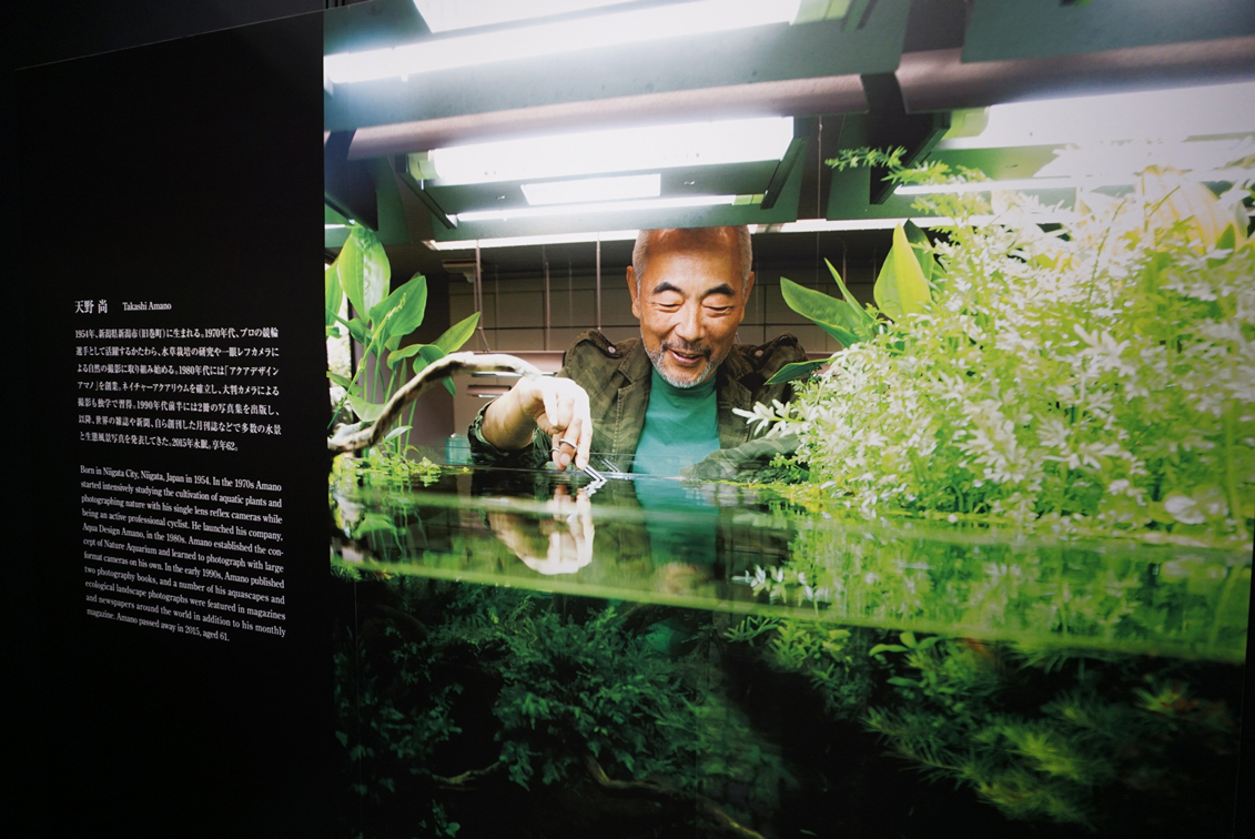 写真と水槽で体感する、大自然の美しさ 『天野尚 NATURE AQUARIUM展