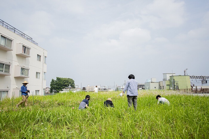 屋上菜園　(c)KoichiWakui