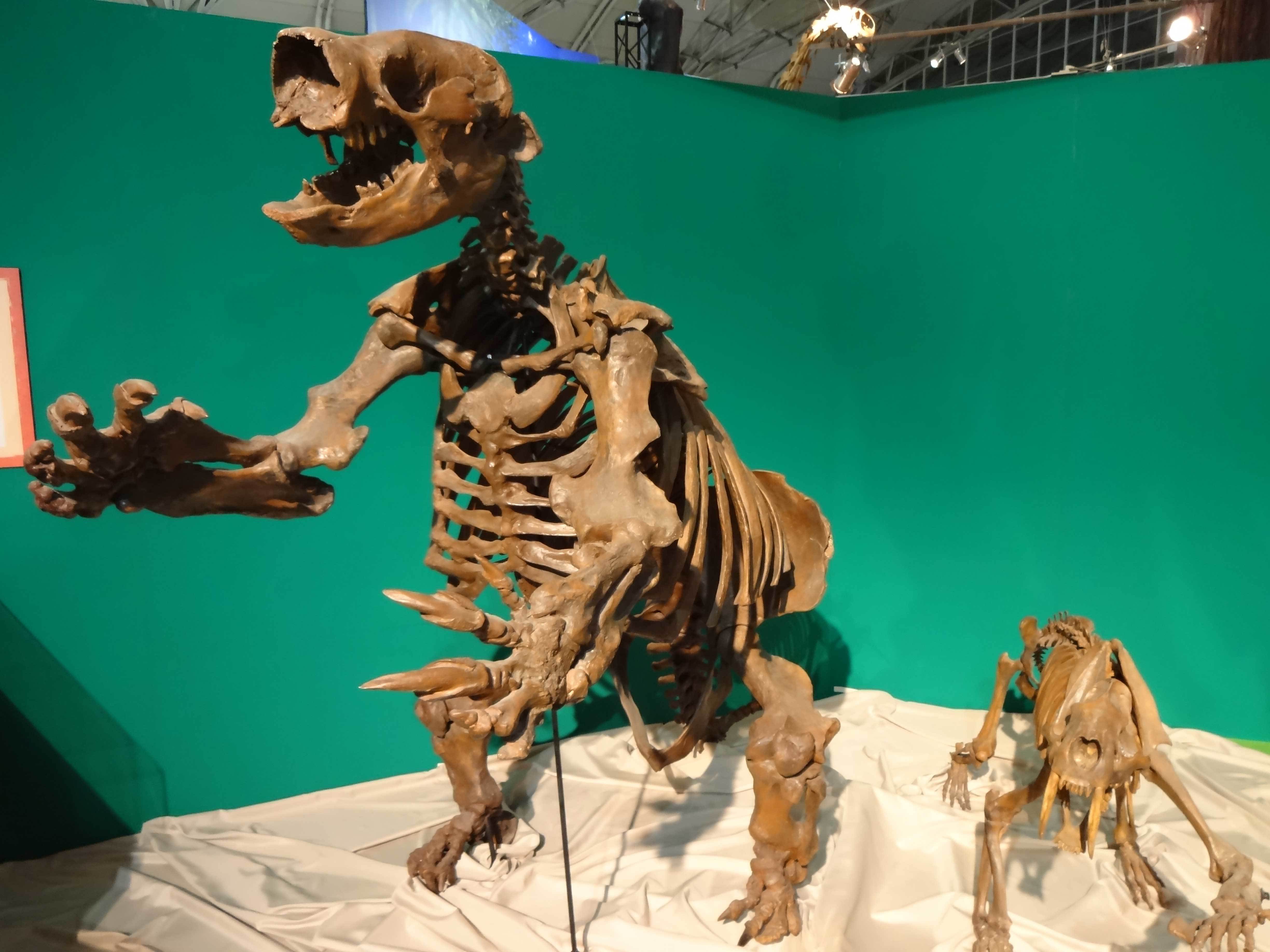 「メガ恐竜展2015-巨大化の謎にせまる」展示風景