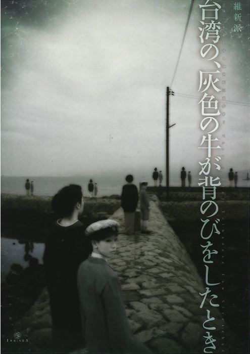 『台湾の、灰色の牛が背のびをしたとき～《彼》と旅をする20世紀三部作 #3』DVDパッケージ。