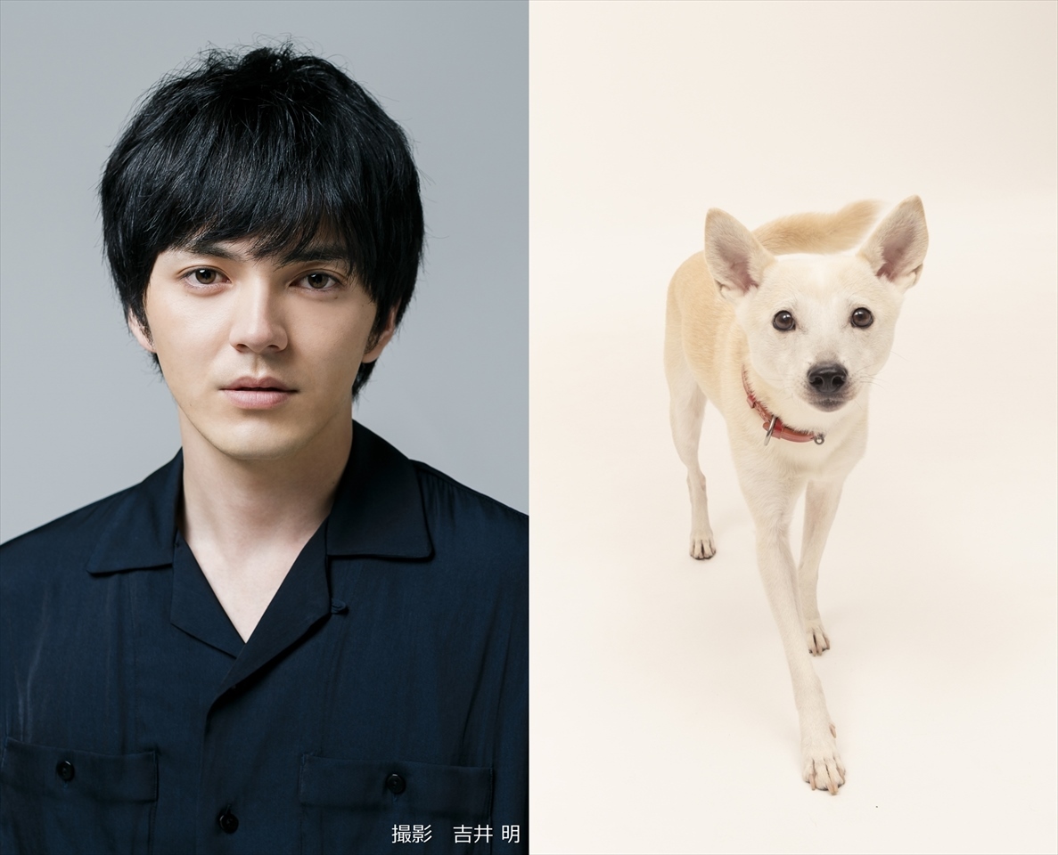 林遣都 中川大志 篠原哲雄監督の映画 犬部 が21年公開へ 動物を愛し 救おうとしている方が沢山います Spice エンタメ特化型情報メディア スパイス