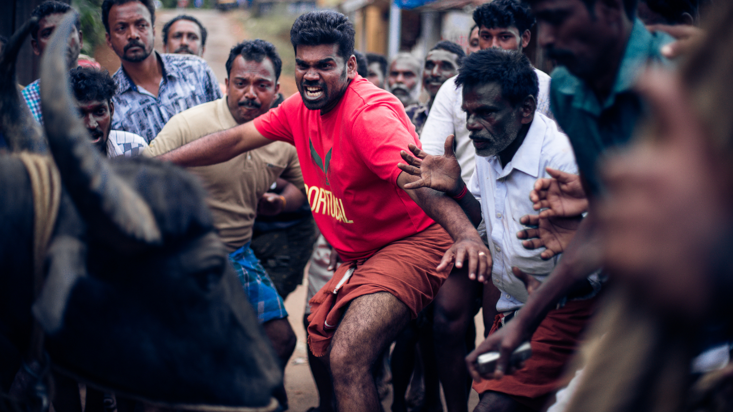 （C）2019 Jallikattu