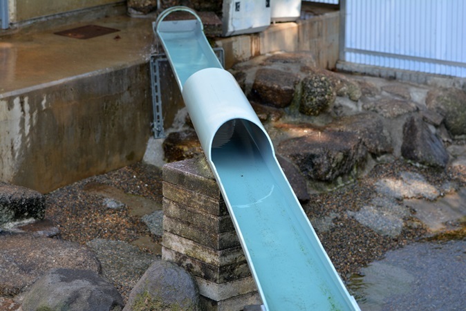 市川市動植物園オリジナル「流しカワウソ」