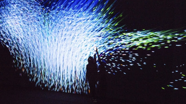 The Way of the Sea, そして境界を越えて飛ぶ - Colors of Life / The Way of the Sea, Flying Beyond Borders - Colors of Life teamLab, 2018, Interactive Digital Installation, Endless, Sound: Hideaki Takahashi