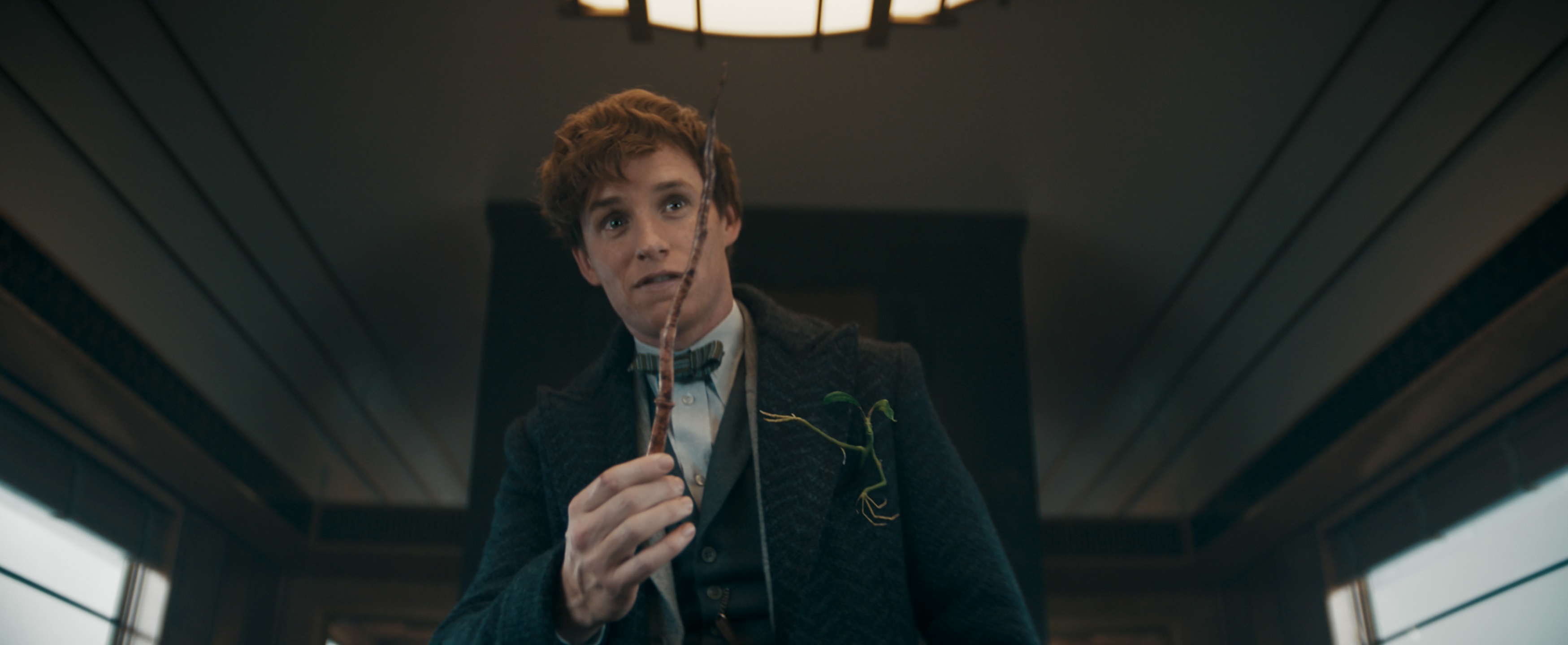 （C）2021 Warner Bros. Ent. All Rights Reserved Wizarding World TM Publishing Rights （C）J.K. Rowling WIZARDING WORLD and  all related characters and elements are trademarks of and（C）Warner Bros. Entertainment Inc.