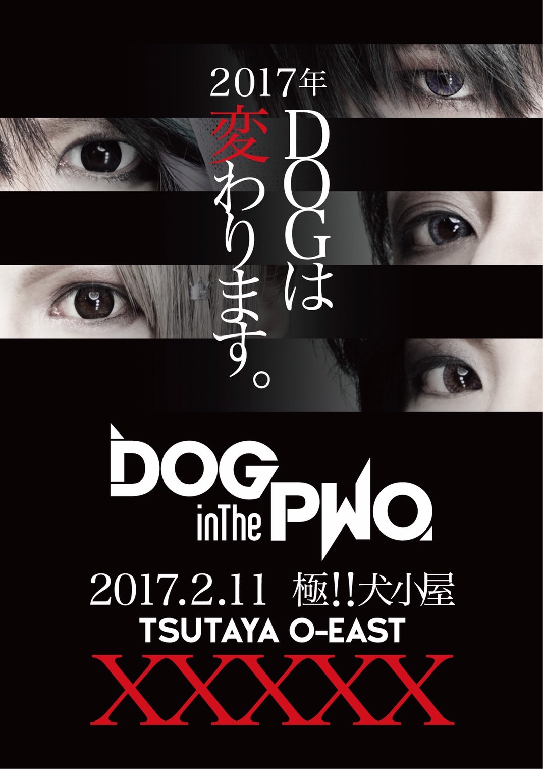 DOG inThePWO