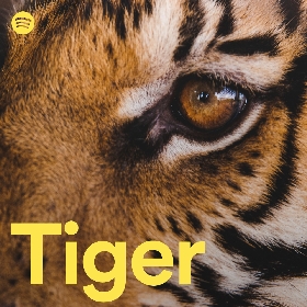 Spotify『New Music Wednesday』チームが2021年音楽シーンを象徴した楽曲をピックアップしたプレイリスト『Tiger』公開、厳選20曲をMusic+Talkと記事で配信