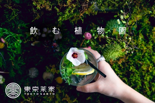 体験型アートイベント 飲む植物園 東京茶寮 ハーブとエディブルフラワーで作るオリジナル煎茶モクテル Spice エンタメ特化型情報メディア スパイス