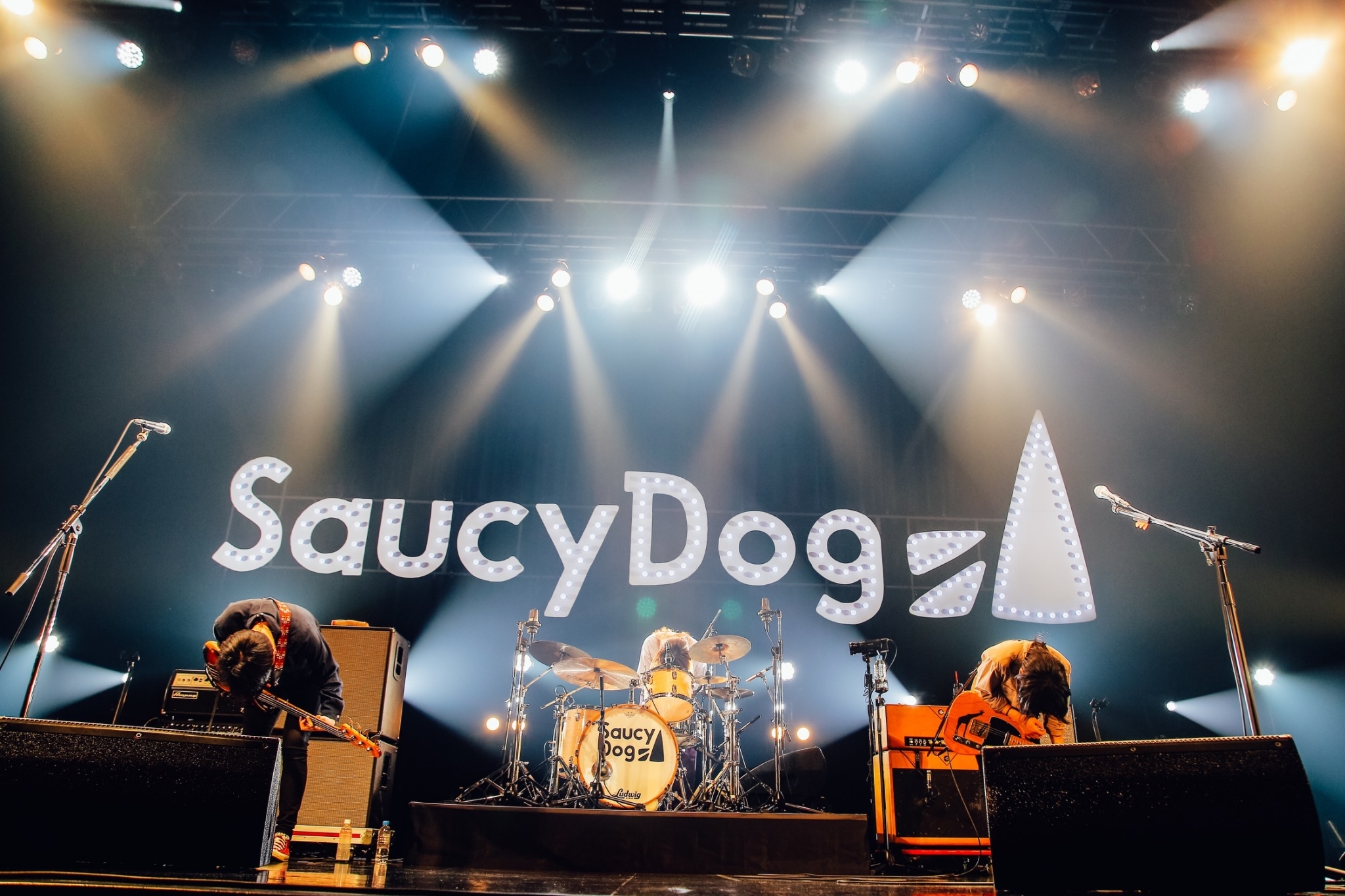 Saucy Dog