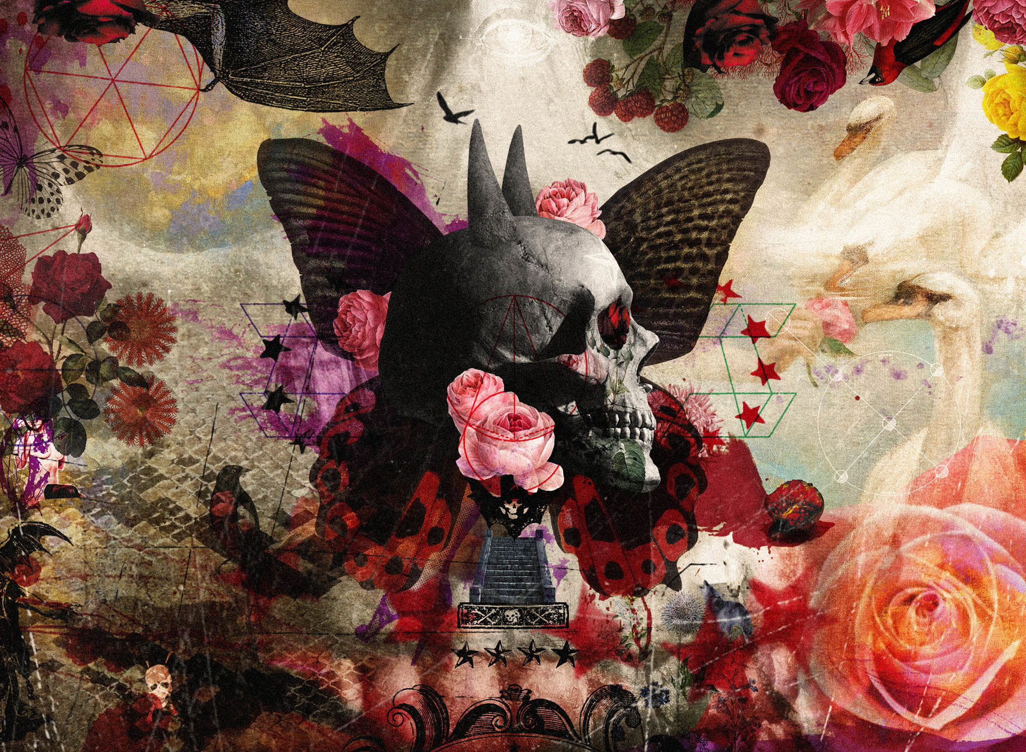 【CD+DVD初回限定盤】