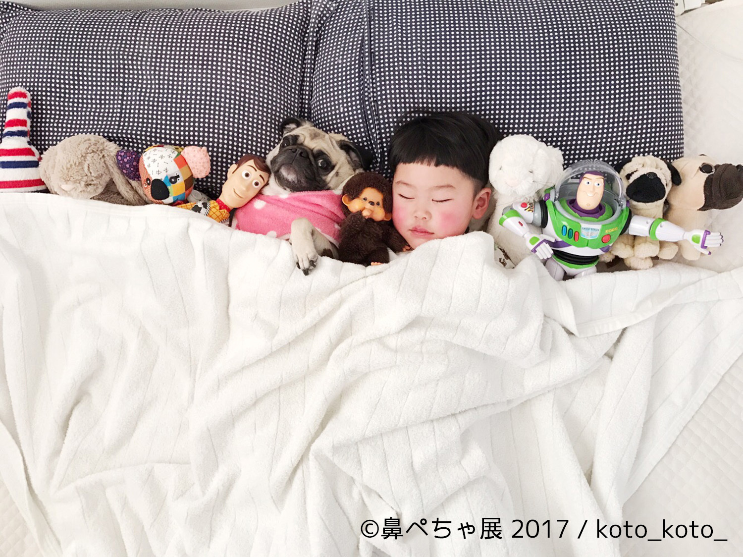 『鼻ぺちゃ展 2017』