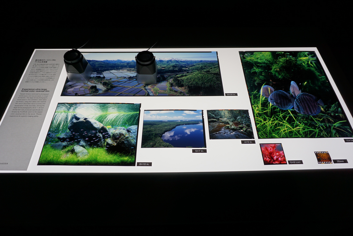 写真と水槽で体感する、大自然の美しさ 『天野尚 NATURE