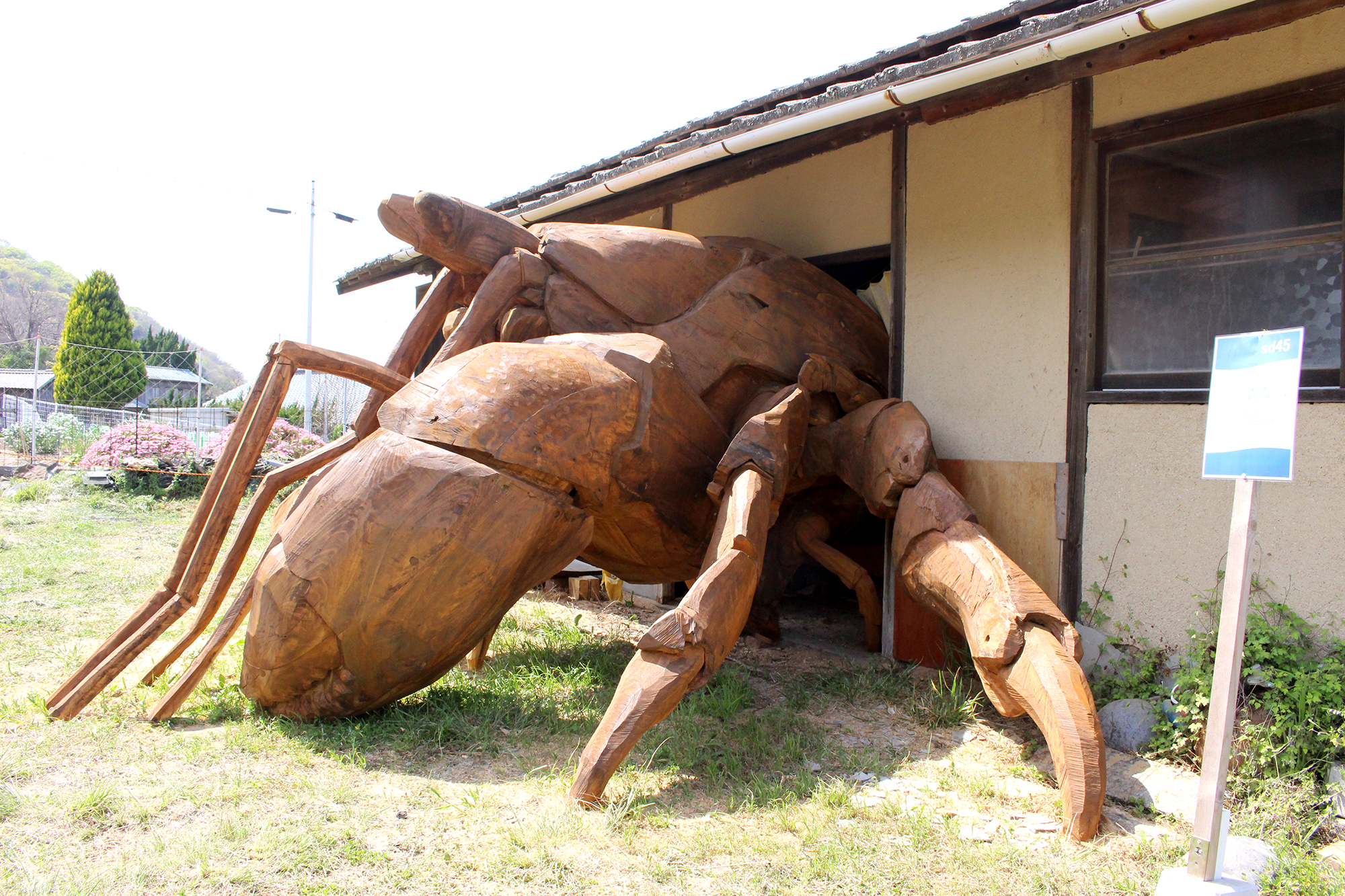 sd45：尾身大輔「ヒトクサヤドカリ」