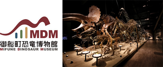 九州随一の規模を誇る「御船町恐竜博物館」とのコラボレーション企画を実施