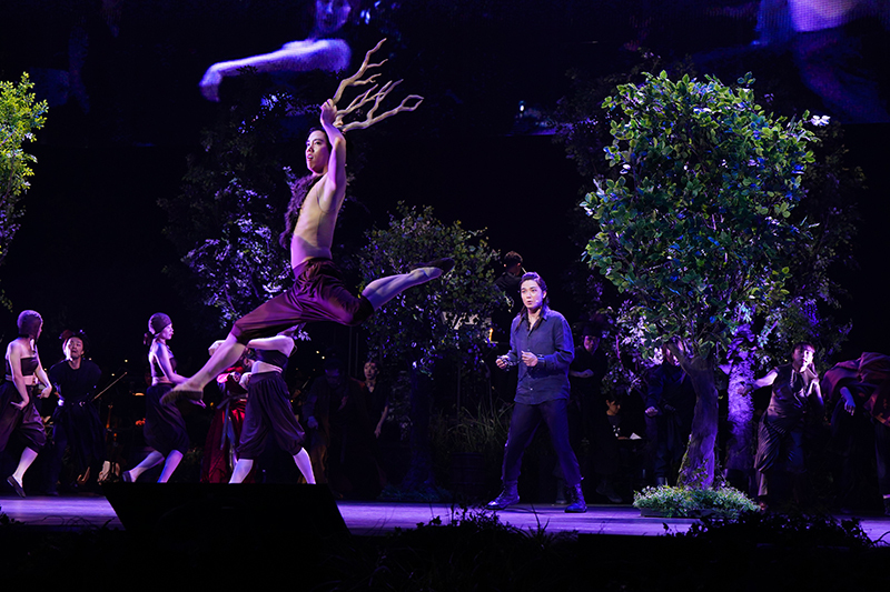 ミュージカル『ナイツ・テイル -騎士物語-』ARENA LIVE舞台写真