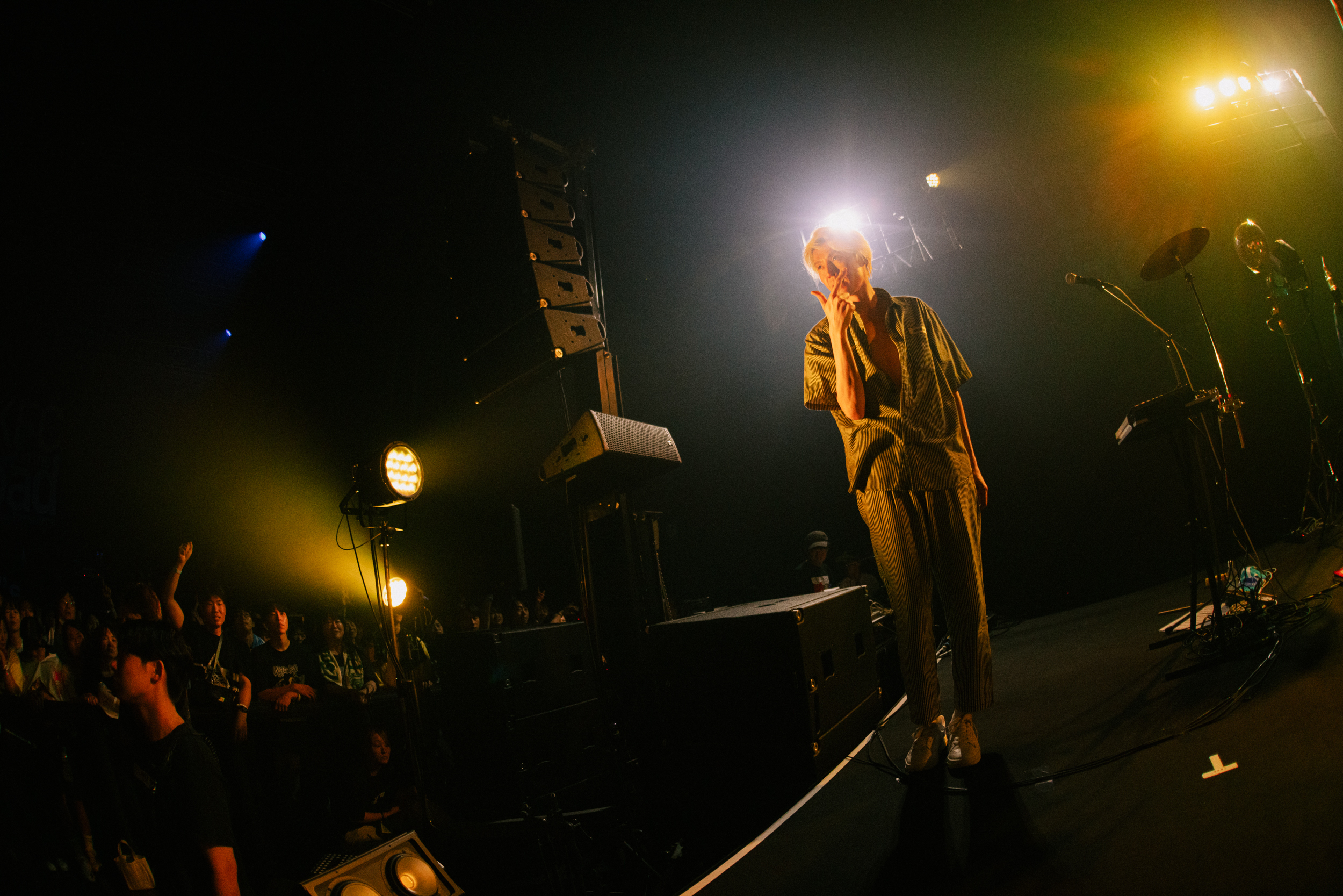 the telephones