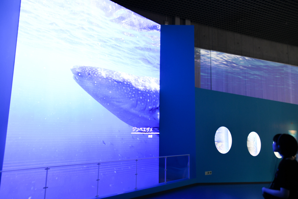 「海のエレベーター」