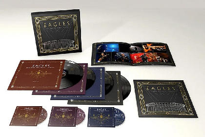 高い素材 Eagles ギターピック 日本公演 Frey Glenn イーグルス ミュージシャン