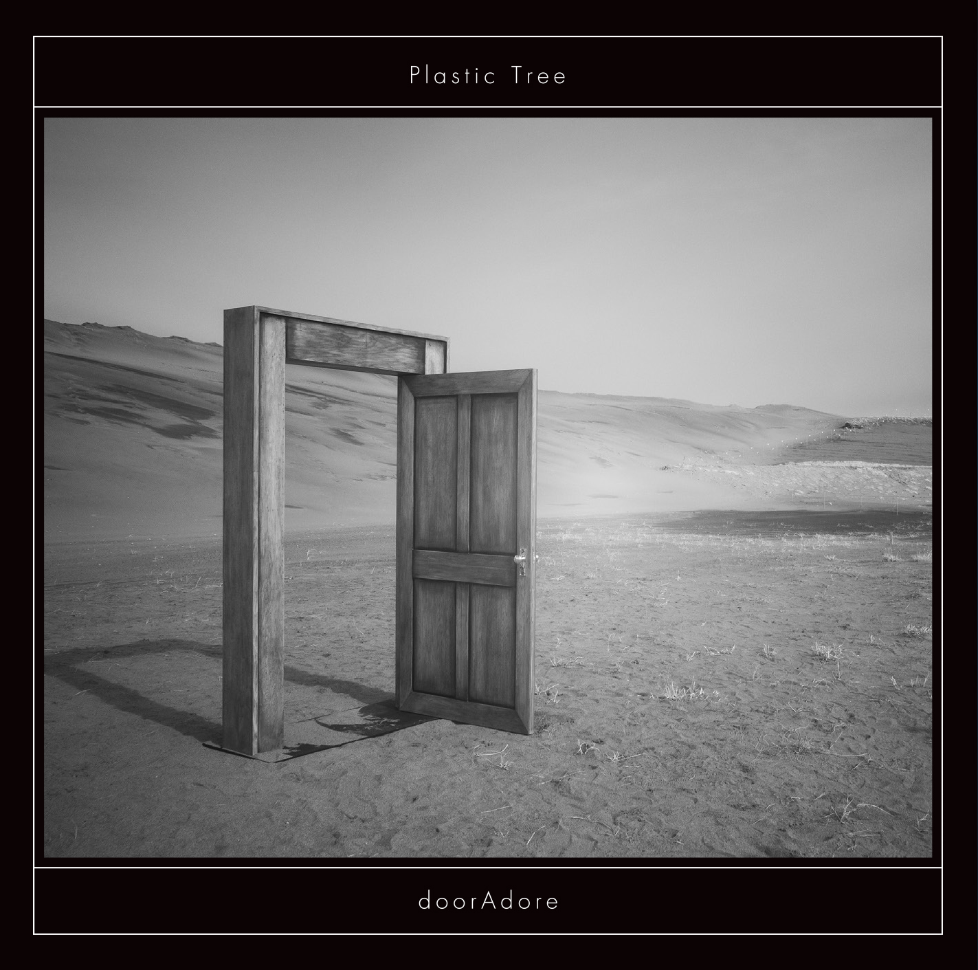 Plastic Tree『doorAdore』通常盤