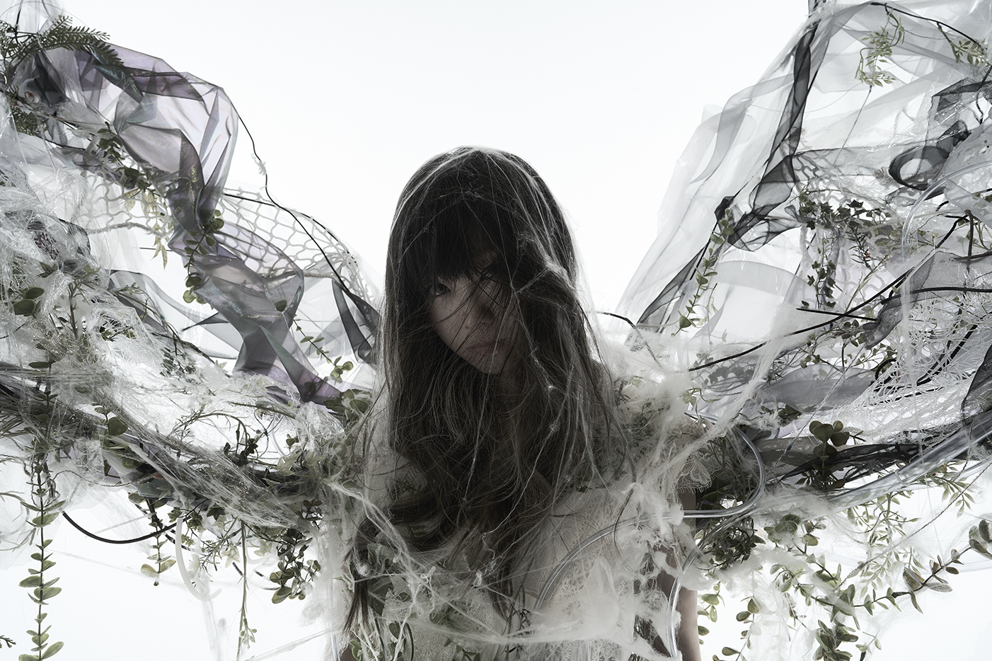 Aimer（エメ）ドラマ『結婚するって、本当ですか』主題歌「Ivy Ivy Ivy」配信開始決定＆「Ivy Ivy  Ivy」ドラマMVフルサイズ公開決定 | SPICE - エンタメ特化型情報メディア スパイス