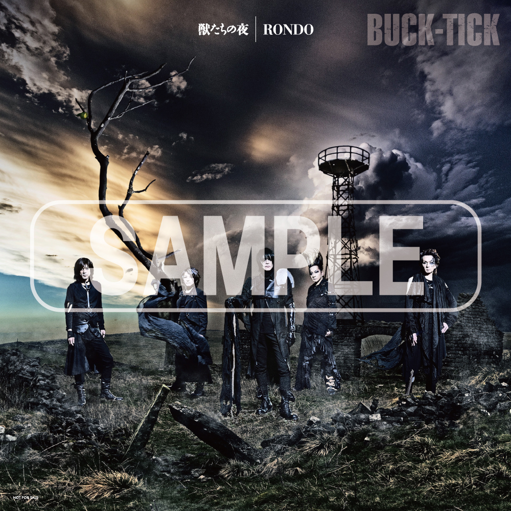 PHY BUCK-TICK表紙 10冊＋3冊 雑誌