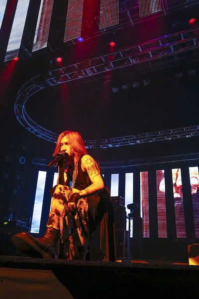 Angelo