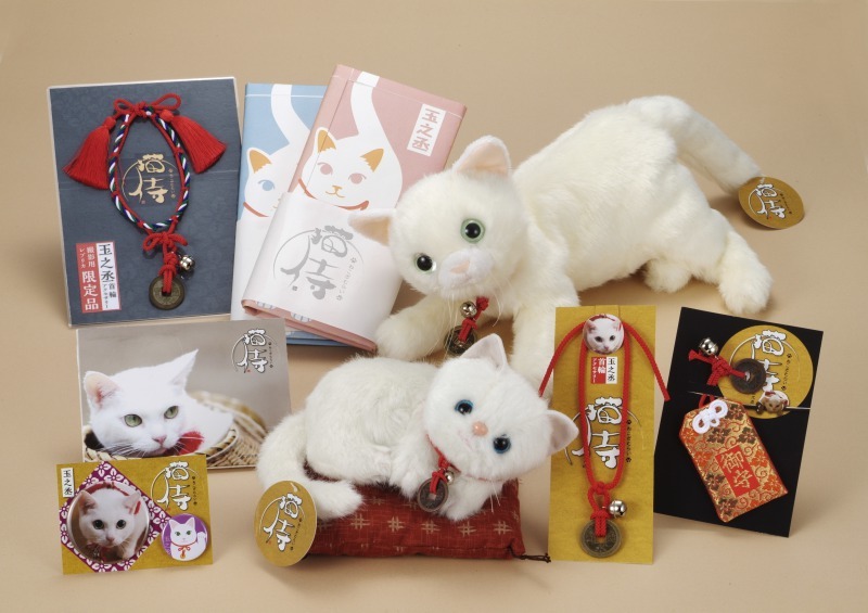 (Ｃ) ２０１５「続・猫侍」製作委員会