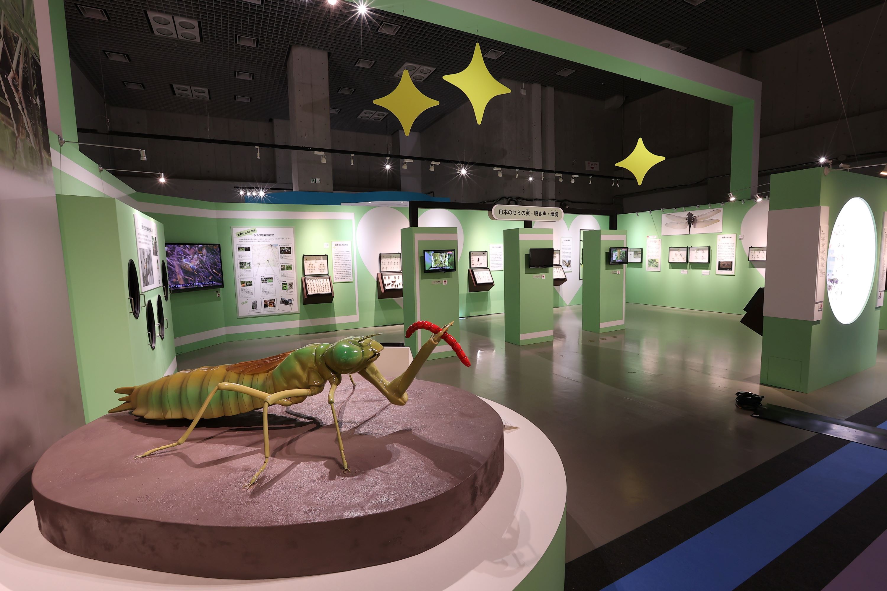 会場の様子2（東京展）