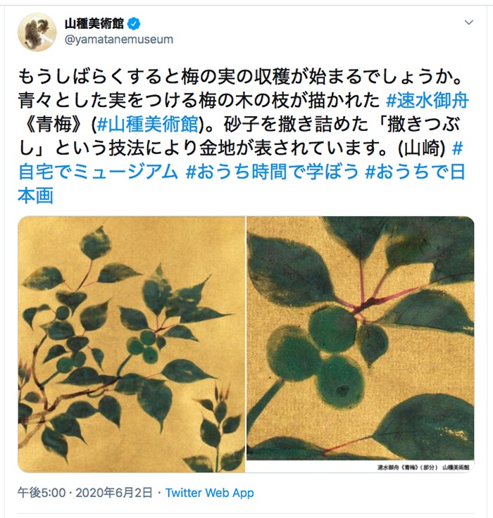 山種美術館ツイッターより引用 （2020年6月2日17時のツイートより）