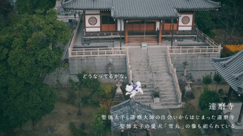 雪丸散歩