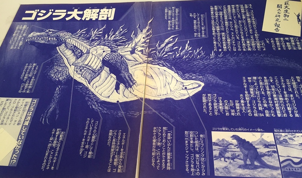 画像提供＝岡本英郎