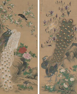 増山雪斎《孔雀図》江戸時代、享和元年（1801） Museum of Fine Arts, Boston, Fenollosa-Weld Collection