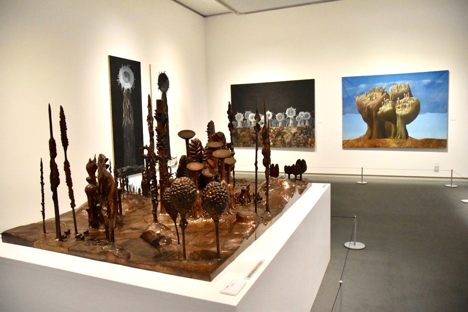 「平行植物」シリーズ 展示風景