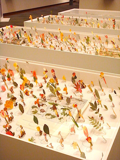 会場風景3 図鑑の分類から解き放たれた色とりどりの草花が咲き乱れる《図鑑採集》シリーズ。こんな庭が現実にあったら楽しい！