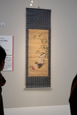 伊藤 若冲 《梔子（くちなし）雄鶏図》 絹本着色 一幅 85.8×43.1cm  個人蔵