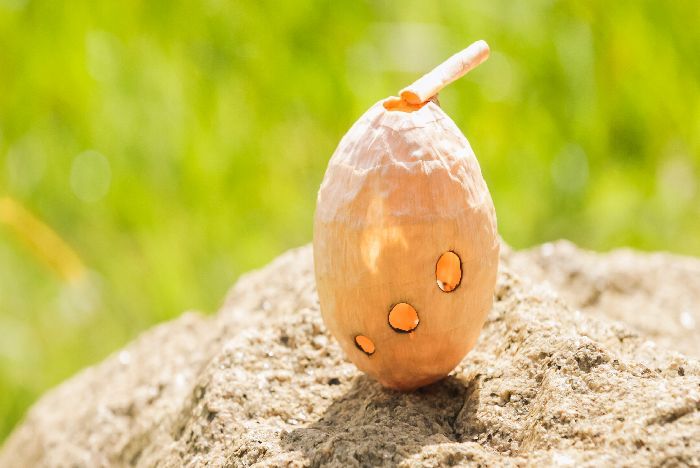 優しい音色のオカンナ。膨らませた風船にかんなくずをのりで貼り、乾燥したら風船を破裂させ、指孔を開けて作る