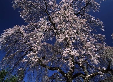 画像】風景写真に革命をもたらしたパイオニア・竹内敏信の写真展