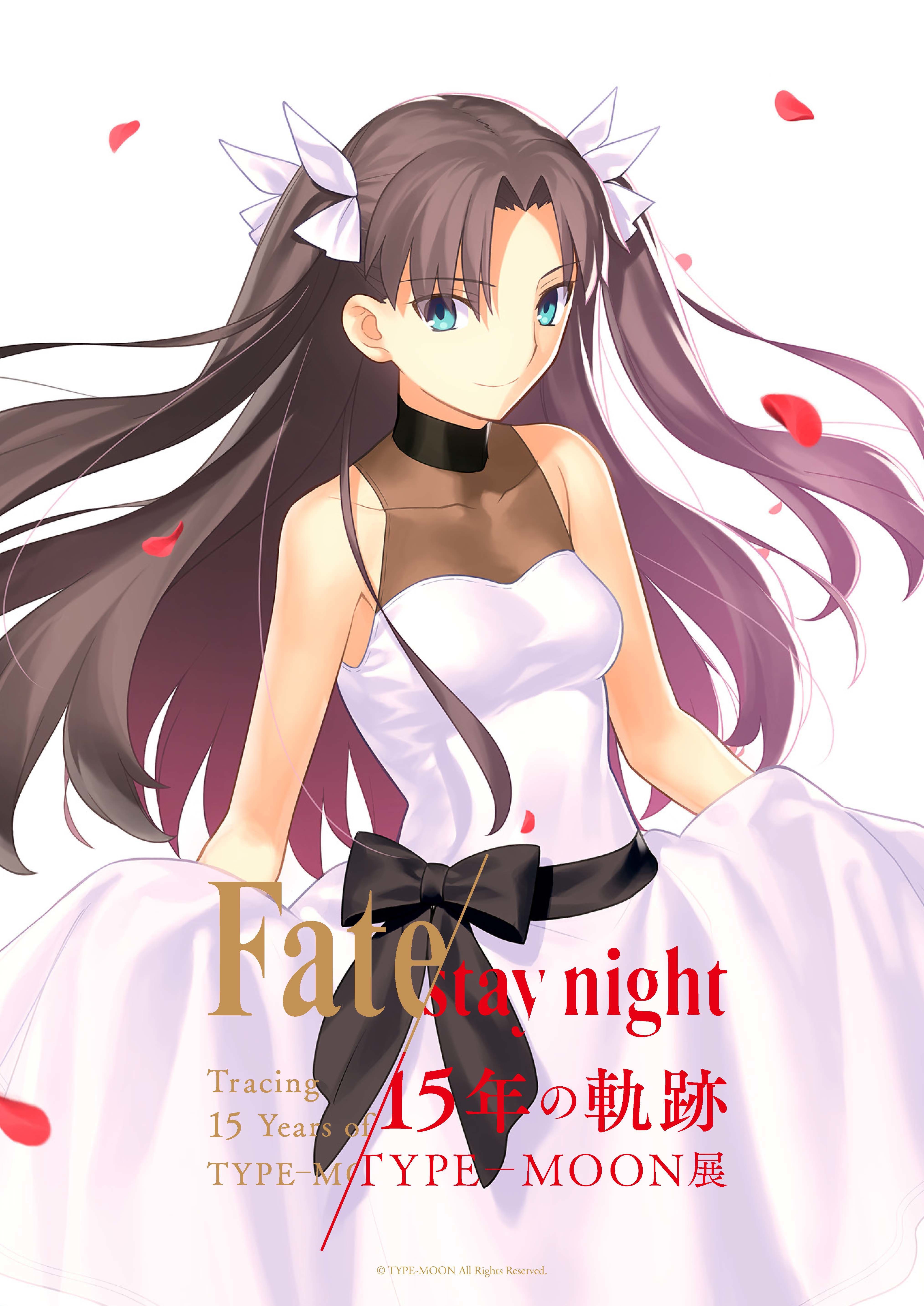 Fate/stay night』セイバー、遠坂凛、間桐桜を描き下ろし 『TYPE-MOON 