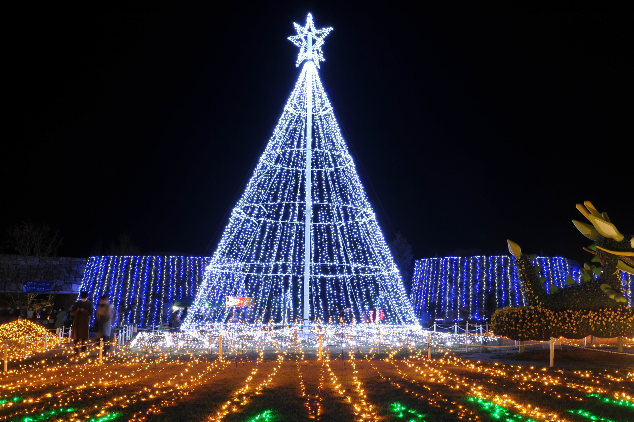 写真：国営讃岐まんのう公園提供